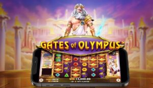 Mengenal Rapi123 sebagai Platform Digital Unggulan di tahun 2026